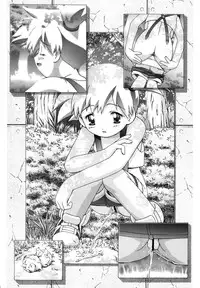 (C80) [Gambler Club (Kousaka Jun)] PM GALS Compilation (Pokemon) [English]