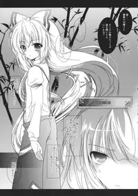 (Reitaisai 11) [Setoran (Itou Seto, Tanno Ran)] CHAN CHAN (Touhou Project)