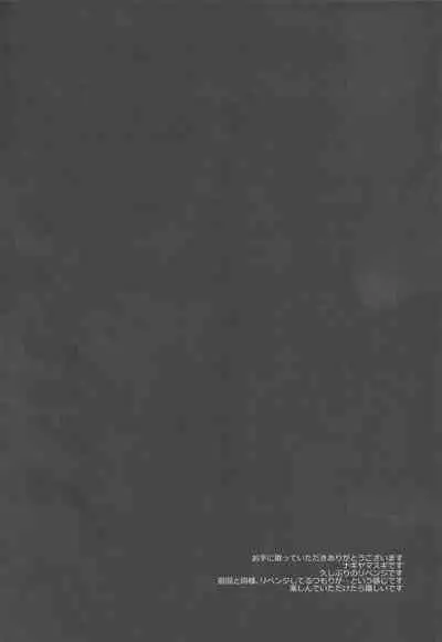 (C97) [Nagiyamasugi (Nagiyama)] Touhou Revenge 2 Alice (Touhou Project) [Chinese]