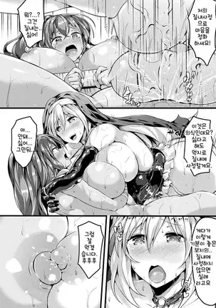 Sister no Hisoyaka na Otsutome | 수녀의 숨겨진 직업