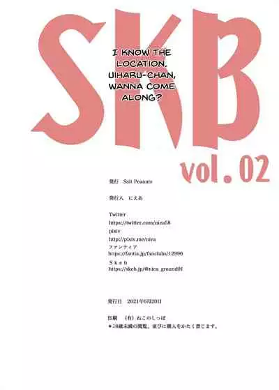 SKB vol. 2
