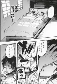 (C86) [Onjire (Tamy)] ONGRE2013 (Shingeki no Kyojin)