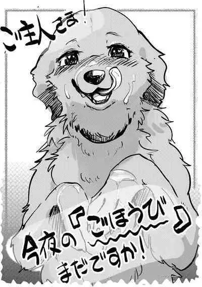 Goshujin-sama! Konya no "Gohoubi" Mada desu ka!