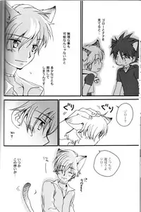 Peach Drop- Arco Iris