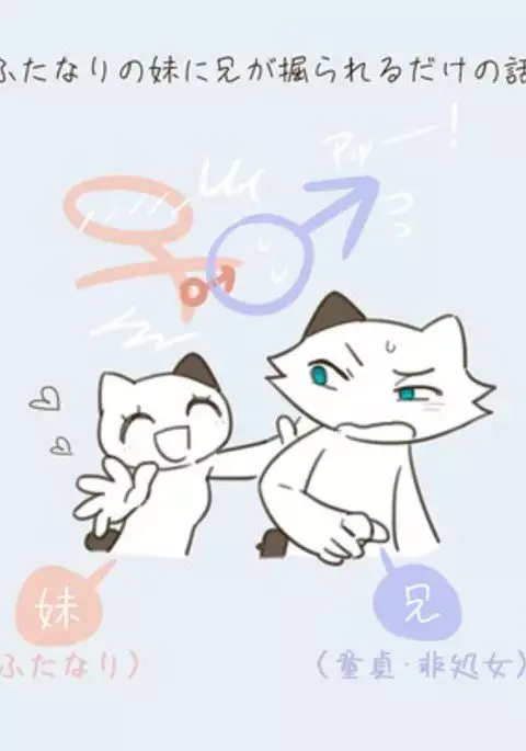 Futanari no Imouto ni Ani ga Horareru Dake no Hanashi