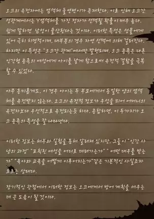 Sage Lavinia's Last Note ~ In the ruin of orc fort ~