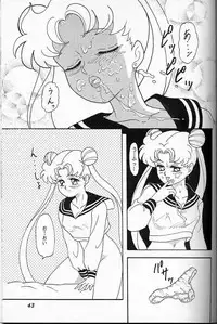 [Chandora, LUNCH BOX (Makunouchi Isami)] Lunch Box 6 - Usagi (Bishoujo Senshi Sailor Moon)