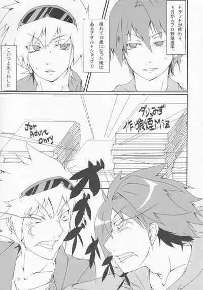 Pawaplus H 2012 Fuyu