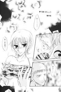 [Bee & Watermelon] Yume Ichiya 2 (One Piece)