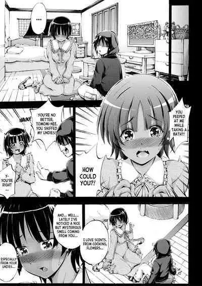 Onee-chan ga Doppelganger ni Netorarechau! ch.1