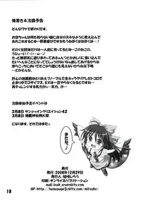 (C75) [Schwester (Inasaki Shirau)] Souda Chireiden Ikou! (Touhou Project)