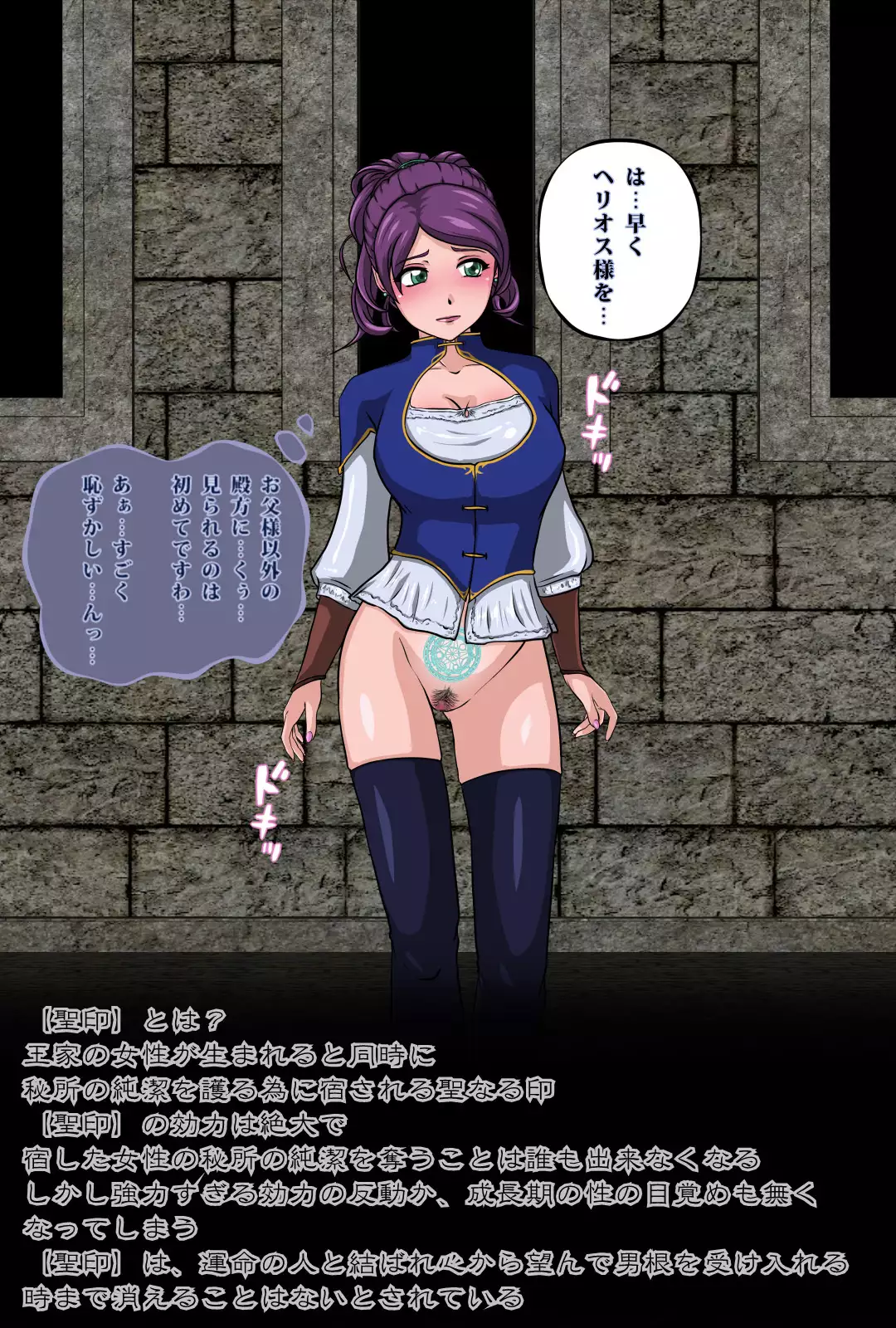 The Tower of the Magician ~Princess in Captivity~