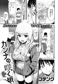 COMIC Shitsurakuten 2012-05