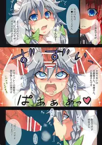 (C77) [Buruman (Tajima Yuki)] S&M Revenge + omake hon (Touhou Project)