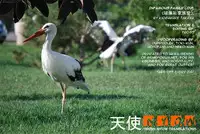 [Kirigakure Takaya] Infamous Family Love [English] [Frost]