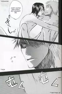 [Nikita&Raica] Family Wars (Bleach) [ENG]