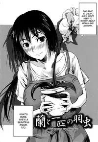 [Fuetakishi] Chu Berozu [English] [desudesu]