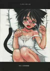 (SC34) [Dennou Denpa Hatsureisho (Harukaze Koucha)] Itsumono. Zouryou (Various)