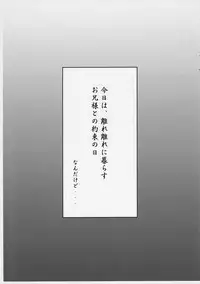 (C66) [DOUWA-KENSETSU (Nomura Teruya)] B.C. Brother Complex (Sister Princess)