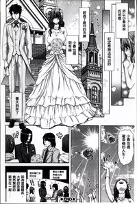 [Hori Hiroaki] Mesuochi Z ~Kyousei Ninkatsu Haigou Zukan~ [Chinese]