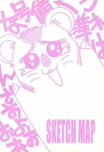 Tottoko Kana-chan! SKETCH MAP