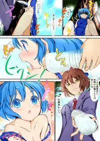 (C80) [Palm Sunday (Leli)] Touhou Kinoko-jiru ~ Cirno no Kosodate Funtouki!? ~ (Touhou Project)