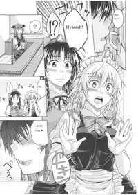 (C81) [Pigeon Blood (Asou Shin)] LOVE OR LUST (Touhou Project) [English]