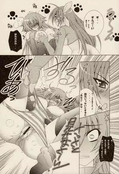 [ZyX (Various)] ZyX Anthology Tag! Raidy & Envy (Ikazuchi no Senshi Raidy, Maken Shoujo Envy)