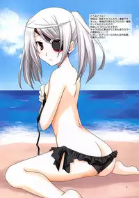 (C81) [CHAGASHI SAIBAN (Yamabuki Mook)] Laura Taichou to Dekirukana | Can I do it with Commander Laura? (Infinite Stratos) [English] =TV=