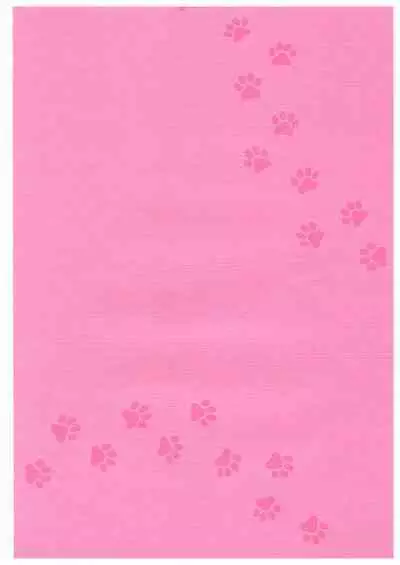 Neko ni nattara nani o suru?