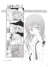 (SC25) [D-Club (D-ALICE)] Touhou Rankasai (Touhou Project)