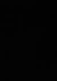 (C88) [Inaka no Yasaiya (Hubrael)] Usagi no Tane (Touhou Project)