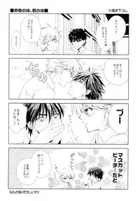 (C80) [mintgun (Fuki, Natsuki)] Boku no Natsu no Usui Hon (Kuroko no Basuke)