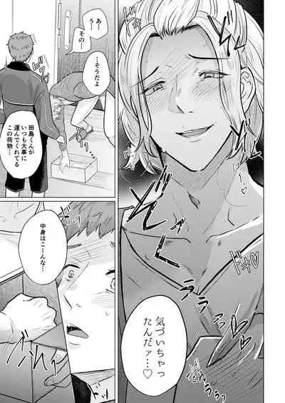 Akogare no Bijin Mesu Onii-san ga Dohentai datta Hanashi