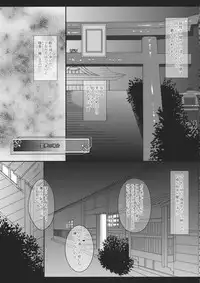 (Reitaisai 11) [Setoran (Itou Seto, Tanno Ran)] CHAN CHAN (Touhou Project)