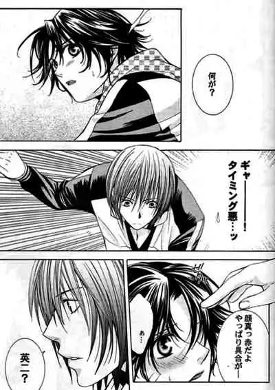 [E-PLUS (Mikoto Aogiri)] ROSE and HONEYCOMB (The Prince of Tennis)