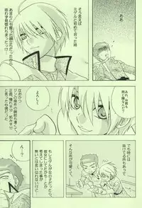 (C65) [accede@rabbit (Patriciana Kikuchi)] in WHITE (Gundam SEED)