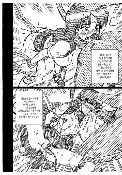 SAILORMOON FILE Hino Rei Gazoushuu