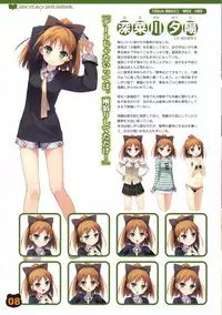 your diary petit fanbook