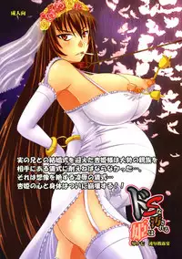 (C78) [Nozarashi (Nozarashi Satoru)] Do-S na Hime wa Kegasareru Haji no Nana - Ryoujoku Hirouen