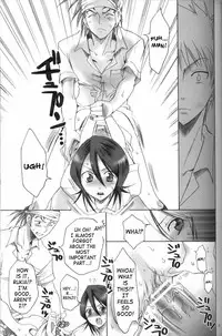 (C71) [Kurione-sha (YU-RI)] Kurosaki-ke no Shinigami | Shinigami of the Kurosaki Family (Bleach) [English] [SaHa]