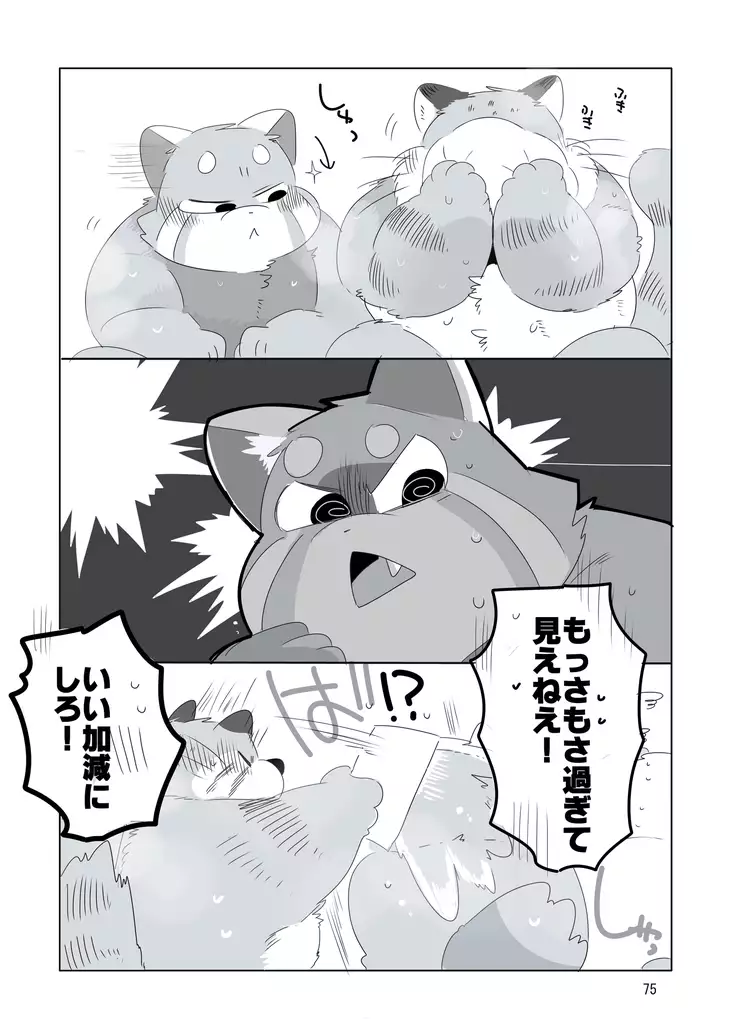 Everybody Loves Cat President!