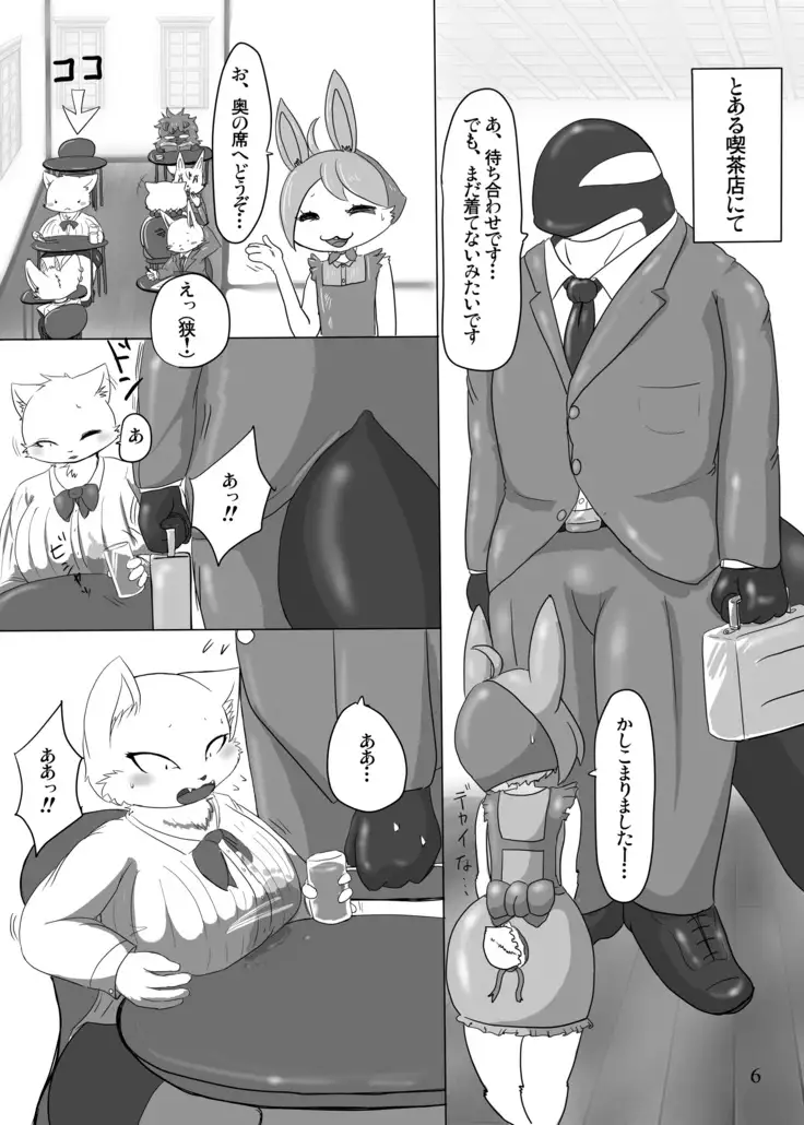 I Love The Chubby Cat