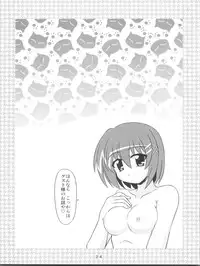 (C74) [Kuchiki no Uro (Enma Koorogi)] MiDaReGoTo (Mahou Shoujo Lyrical Nanoha)