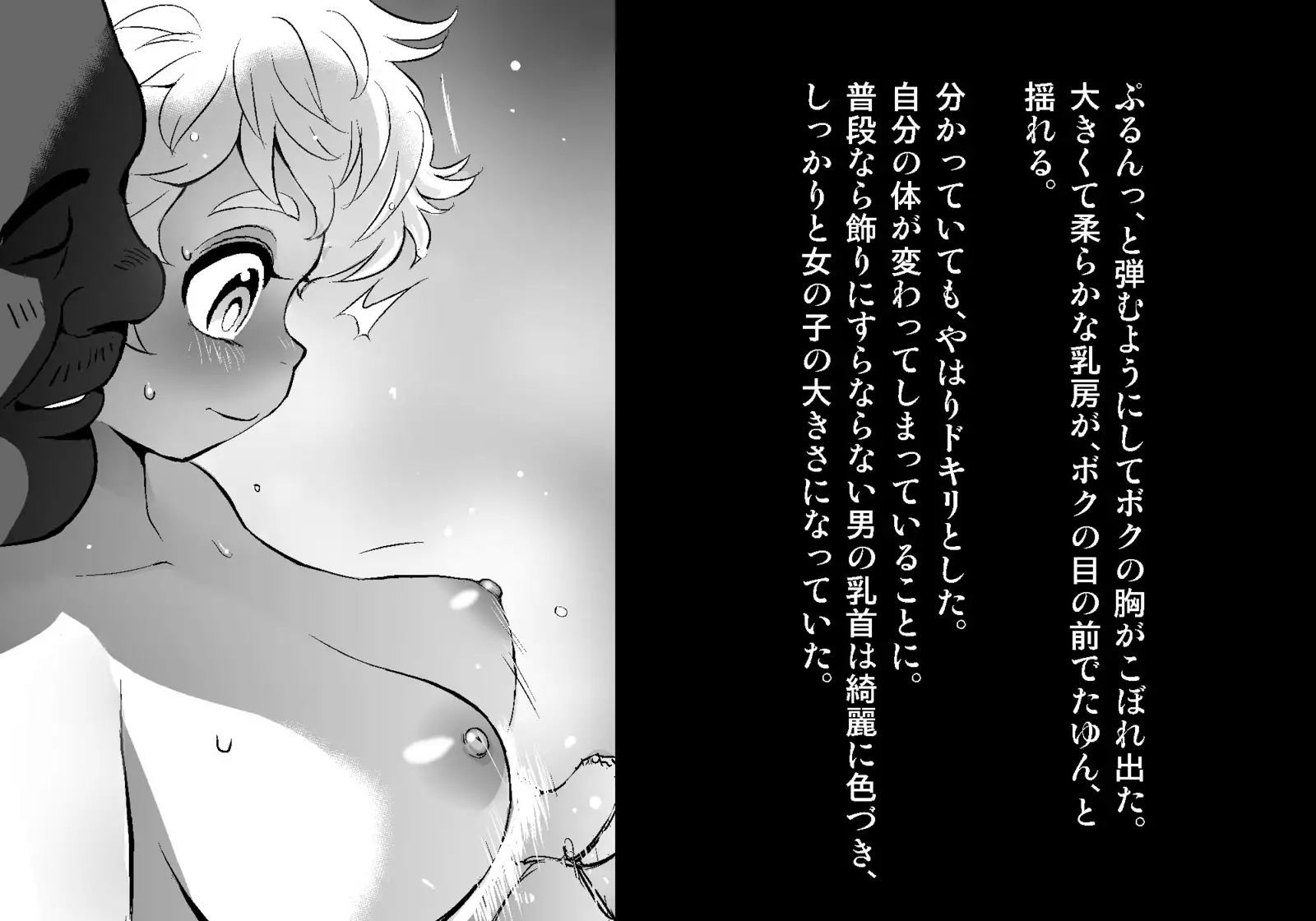 フェアリーセティ