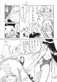 [Ginmomodou (Mita Satomi)] SLAYERS ADULT 5 (Slayers) [Digital]