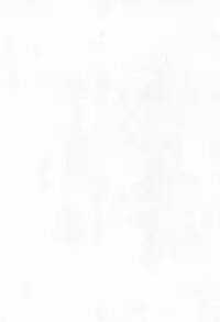 [Kaisei Yohou (Tetsuroku)] Loli wa Jinrui no Shihou Tsuuka Ore no Mirai!! 3