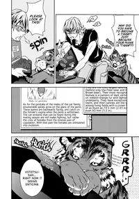 [Yumemigachi-Realism] BEASTIALITY (Tiger & Bunny) [English]