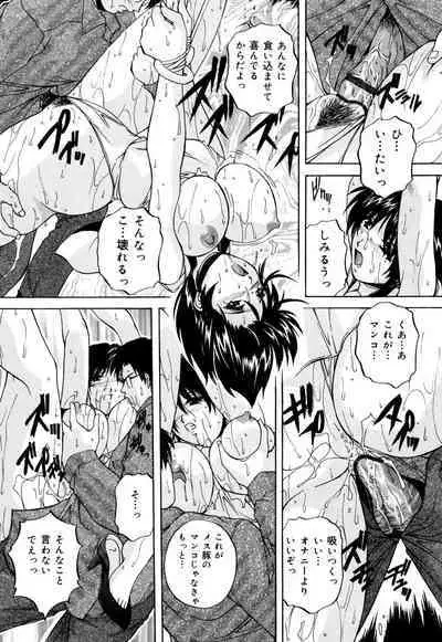 Kinshin Soukan Musume