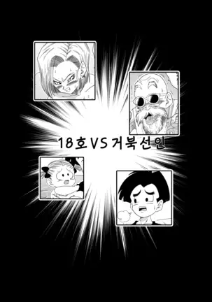 18-gou vs Kame Sennin | Android n18 VS Kamesennin (decensored)